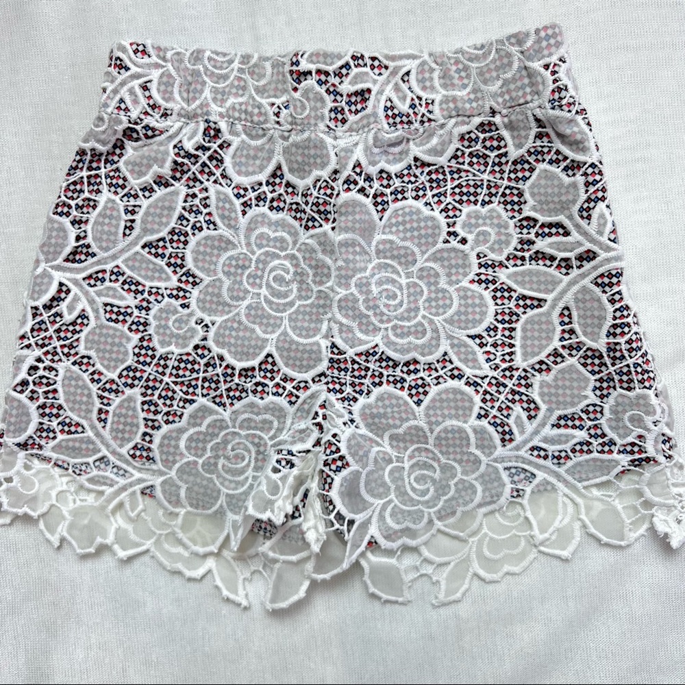 Beautiful embroidered shorts.